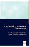 Programming Many-core Architectures