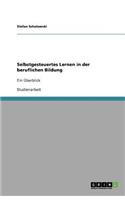Selbstgesteuertes Lernen in der beruflichen Bildung