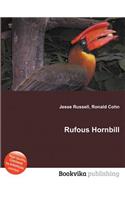 Rufous Hornbill