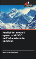 Analisi dei modelli operativi di VSO nell'educazione in Camerun