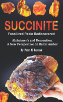 Succinite Fossilized Resin Rediscovered