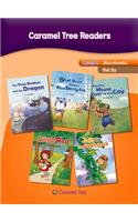 Level 2 Storybooks Set 2c