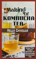 The Making Of Kombucha TEA