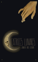 Cicatrices lunares: Colección de microrrelatos
