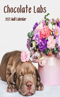 Chocolate Labs 2021 Wall Calendar: Chocolate Labs 2021 Calendar,18 Months