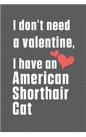 I don't need a valentine, I have a American Shorthair Cat