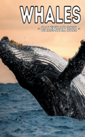 Whales Calendar 2021: 16-Month Calendar, Cute Gift Idea For Whales Lovers Women & Men