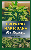Growing Marijuana for Business