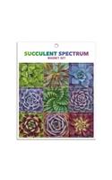 Succulent Spectrum Magnet Set