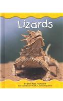 Lizards