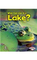 What Can Live in a Lake?: (First Step Nonfiction — Animal Adaptations)