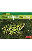 From Tadpole to Frog