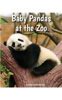 Baby Pandas at the Zoo: (All about Baby Zoo Animals)