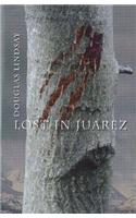 Lost in Juarez