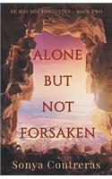 Alone But Not Forsaken