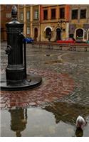 Antique Water Pump in Warsaw, Poland Journal
