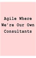 Agile Where We're Our Own Consultants