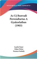 AZ Uj Bunvadi Perrendtartas a Gyakorlatban (1903)