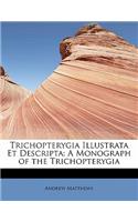 Trichopterygia Illustrata Et Descripta