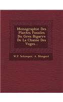 Monographie Des Plantes Fossiles Du Gres Bigarre De La Chaine Des Voges...