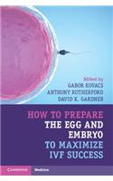 How to Prepare the Egg and Embryo to Maximize Ivf Success