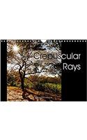 Crepuscular Rays 2017