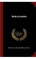 Birds in London
