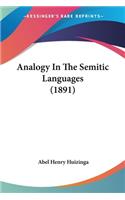 Analogy In The Semitic Languages (1891)