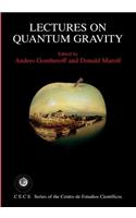 Lectures on Quantum Gravity