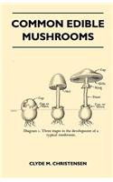 Common Edible Mushrooms