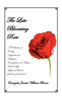 Late Blooming Rose