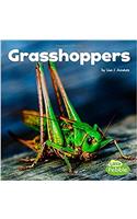Grasshoppers