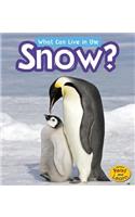 What Can Live in the Snow?