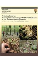Protecting Resources: Assessing Visitor Harvesting of Wild Morel Mushrooms in Two National Capital Region Parks(English)