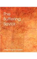 The Suffering Savior, Meditations on the Last Days of Christ