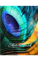 Sketch Book