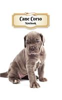 Cane Corso Notebook: Puppy - Composition Book 150 pages 8.5 x 11 in. - Wide Ruled - Writing Notebook - Lined Paper - Soft Cover - Plain Journal