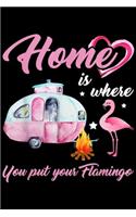 Home Is Where You Put Your Flamingo: Home Is Where You Put Your Flamingo Journal/Notebook Blank Lined Ruled 6x9 100 Pages