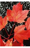 2020 Weekly Planner Red Maple Leaves Autumn Season 134 Pages