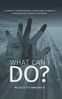What Can I Do?: A Guide to Understanding, Coping and Ultimately Surviving Past Domestic Violence