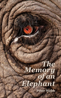 Memory of an Elephant