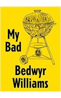 Bedwyr Williams