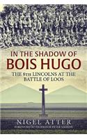 In the Shadow of Bois Hugo