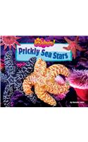 Prickly Sea Stars