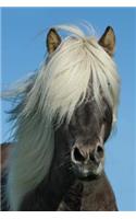 Pony in Iceland Journal: 150 Page Lined Notebook/Diary