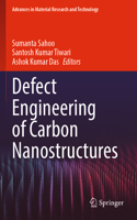 Defect Engineering of Carbon Nanostructures