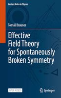 Effective Field Theory for Spontaneously Broken Symmetry