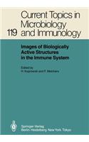 Images of Biologically Active Structures in the Immune System