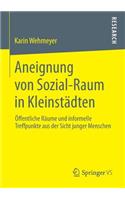 Aneignung Von Sozial-Raum in Kleinstädten