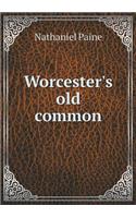 Worcester's old common